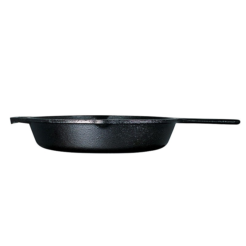 Lodge 10.25-Inch Seasoned Cast Iron Skillet